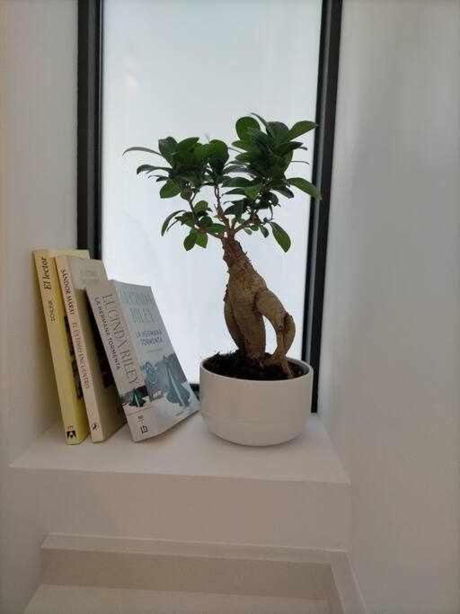 Acogedor Apartamento En La Playa De カディス エクステリア 写真
